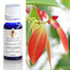 Cinnamon Leaf Essential Oil 10ml