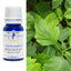 Patchouli Essential Oil 10ml
