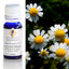 Chamomile Roman (3% In Jojoba) Essential Oil 10ml