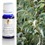Eucalyptus Lemon Gum Australian Essential Oil 10ml