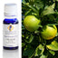 Orange Bitter Essential Oil 10ml