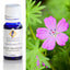 Rose Geranium Essential Oil 10ml