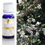 Organic Tea Tree Australian Essential Oil 10ml