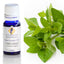 Oregano Essential Oil 10ml