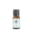 Focus Essential Oil Blend 10ml