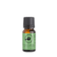 Forest Bathing Essential Oil Blend 10ml