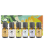 Home Sanctuary Essential Oil Collection