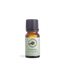 Rosemary Oil 10ml