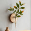 Wall-Mounted Hydroponic Plant Test TubeFlower Pot for Indoor Plants & Cuttings