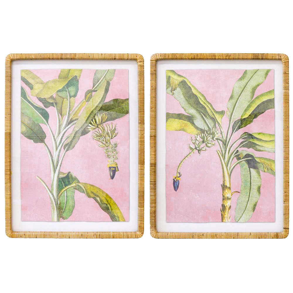 Framed Print Asstd Banana Palms Hauptbild