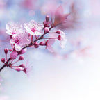 Sakura Small Pillar Candle