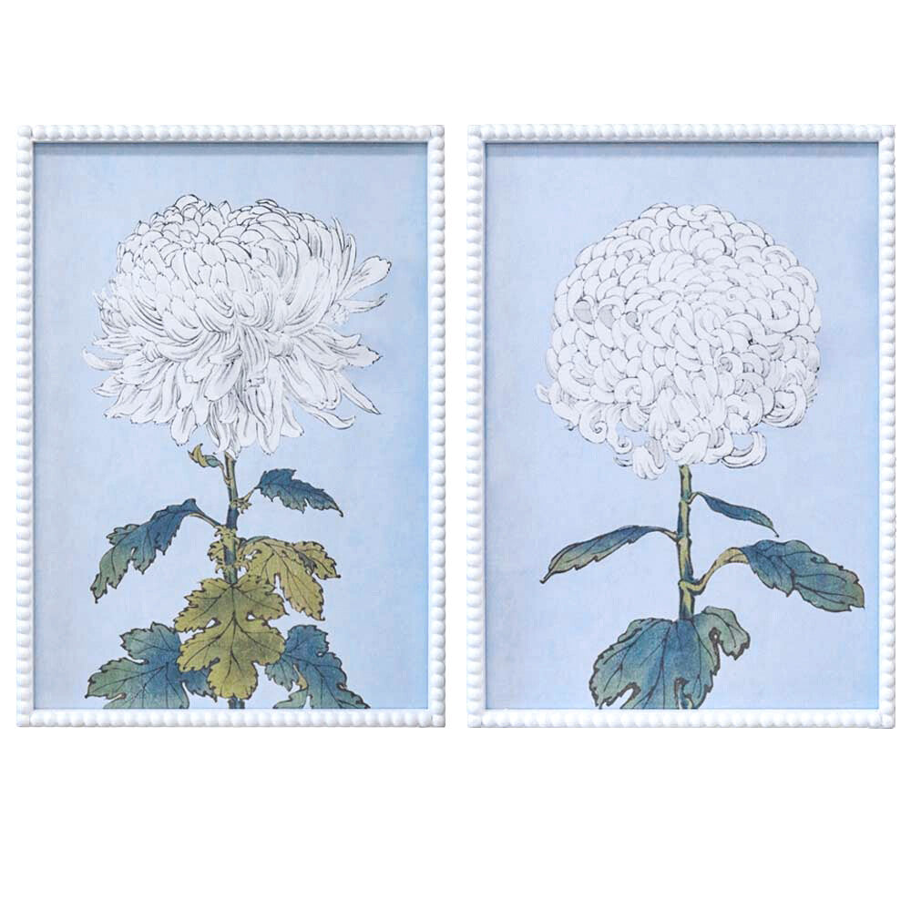 Framed Print Asstd White Flowers Main image