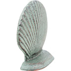 Decorative Shell | 11.5 x 3.5 x 11.5 cm