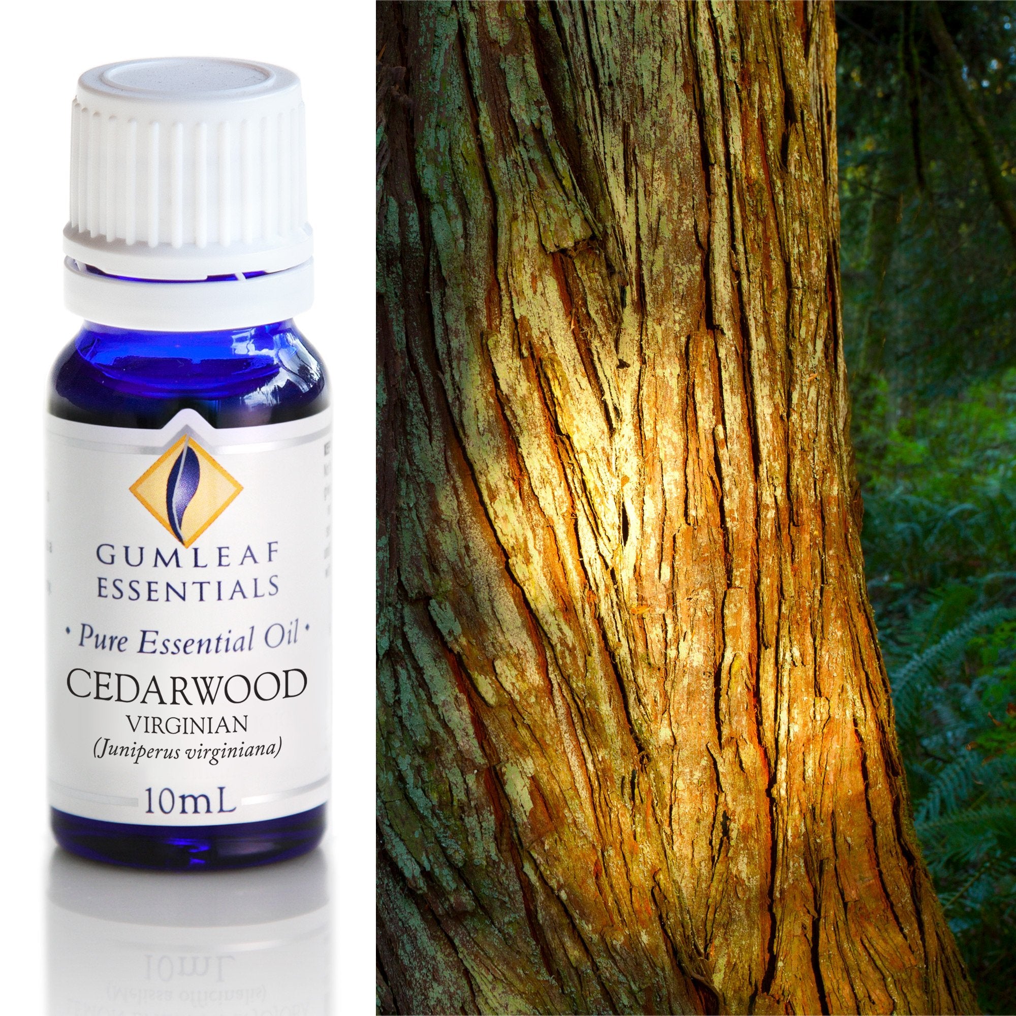 Cedarwood Virginian Essential Oil 10ml Main image