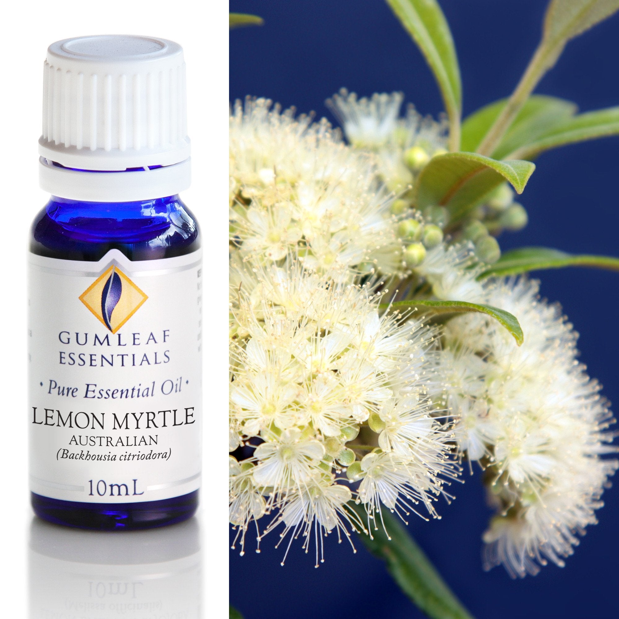 Lemon Myrtle Australian Essential Oil 10ml