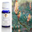 Pine Scotch Essential Oil 10ml