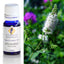 Spearmint Essential Oil 10ml