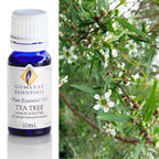 Tea Tree Lemon Scented Essential Oil 10ml