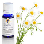 Chamomile German Blue (3% In Jojoba) Essential Oil 10ml