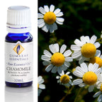 Chamomile Roman (3% In Jojoba) Essential Oil 10ml