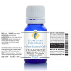 Chamomile Roman (3% In Jojoba) Essential Oil 10ml