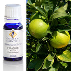 Orange Bitter Essential Oil 10ml