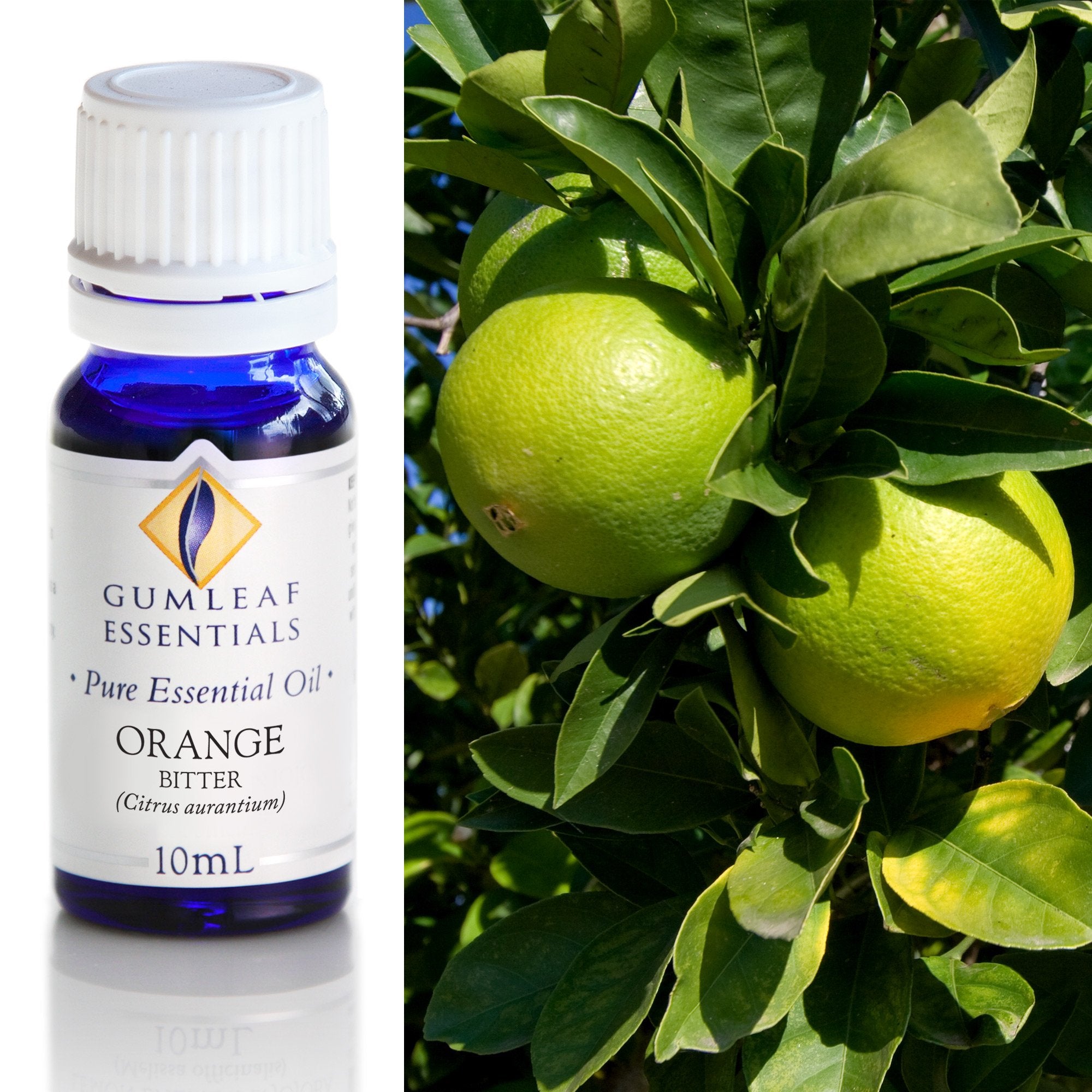 Orange Bitter Essential Oil 10ml