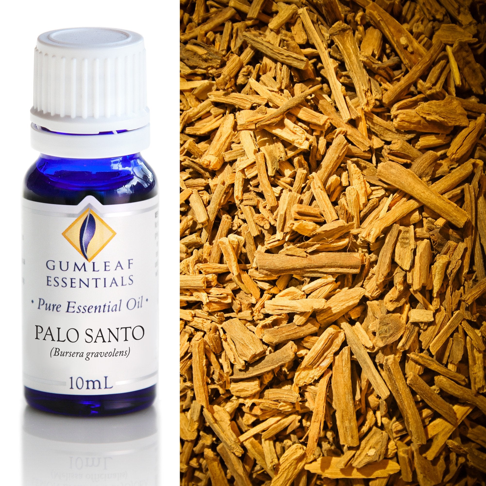 Palo Santo Essential Oil 10ml Main image