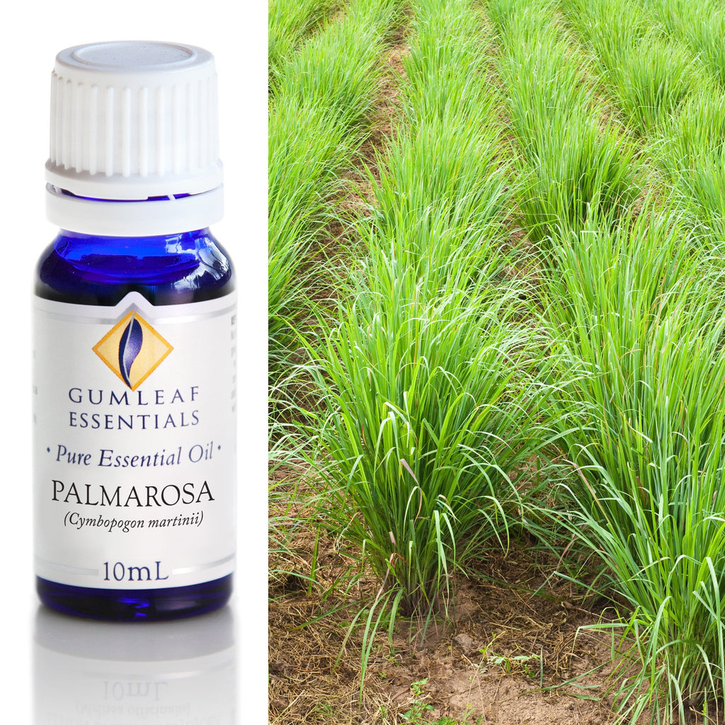 Palmarosa Essential Oil 10ml