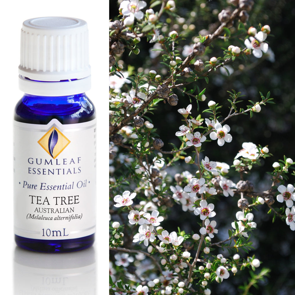 Tea Tree Australian Essential Oil 10ml