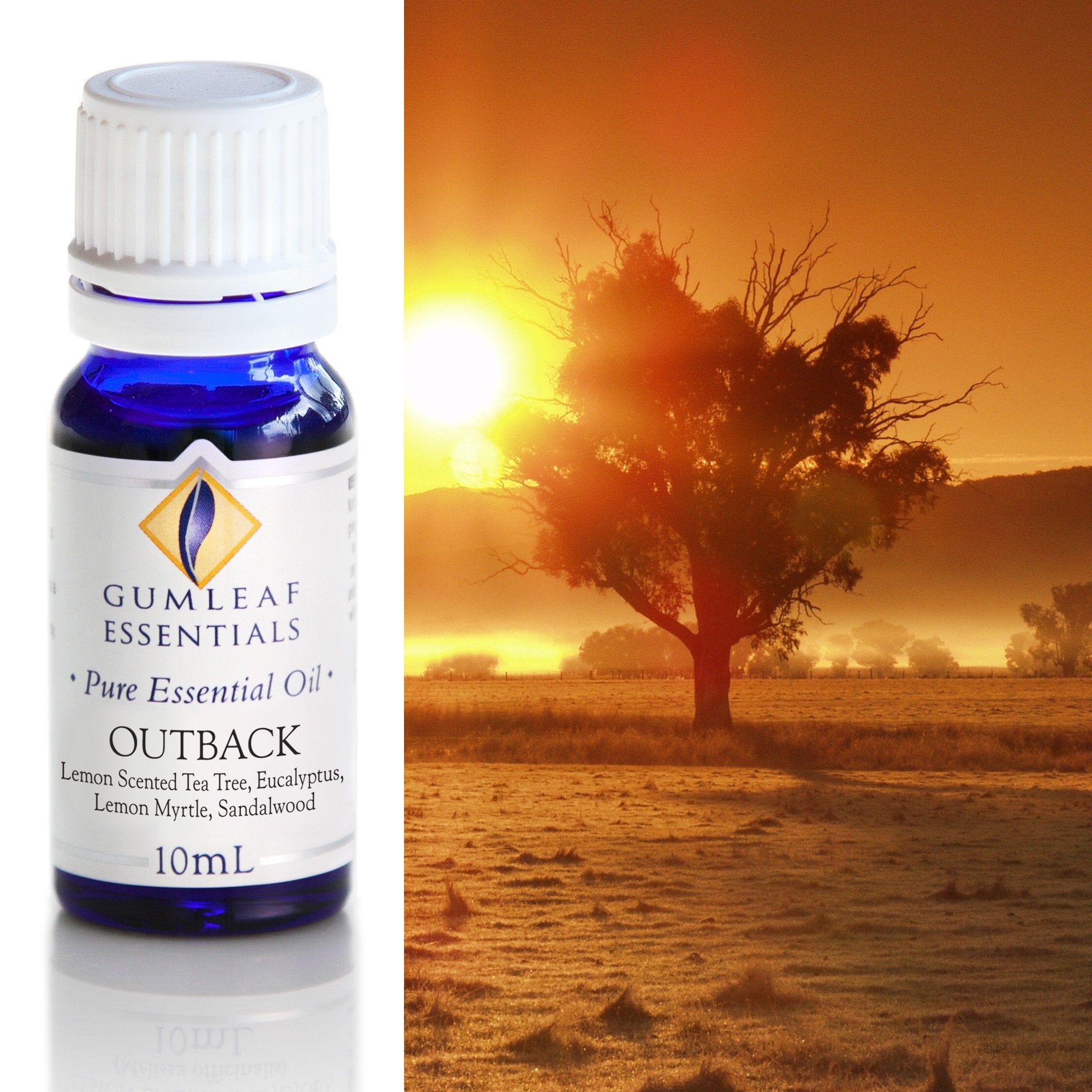 Outback Essential Oil Blend 10ml Main image