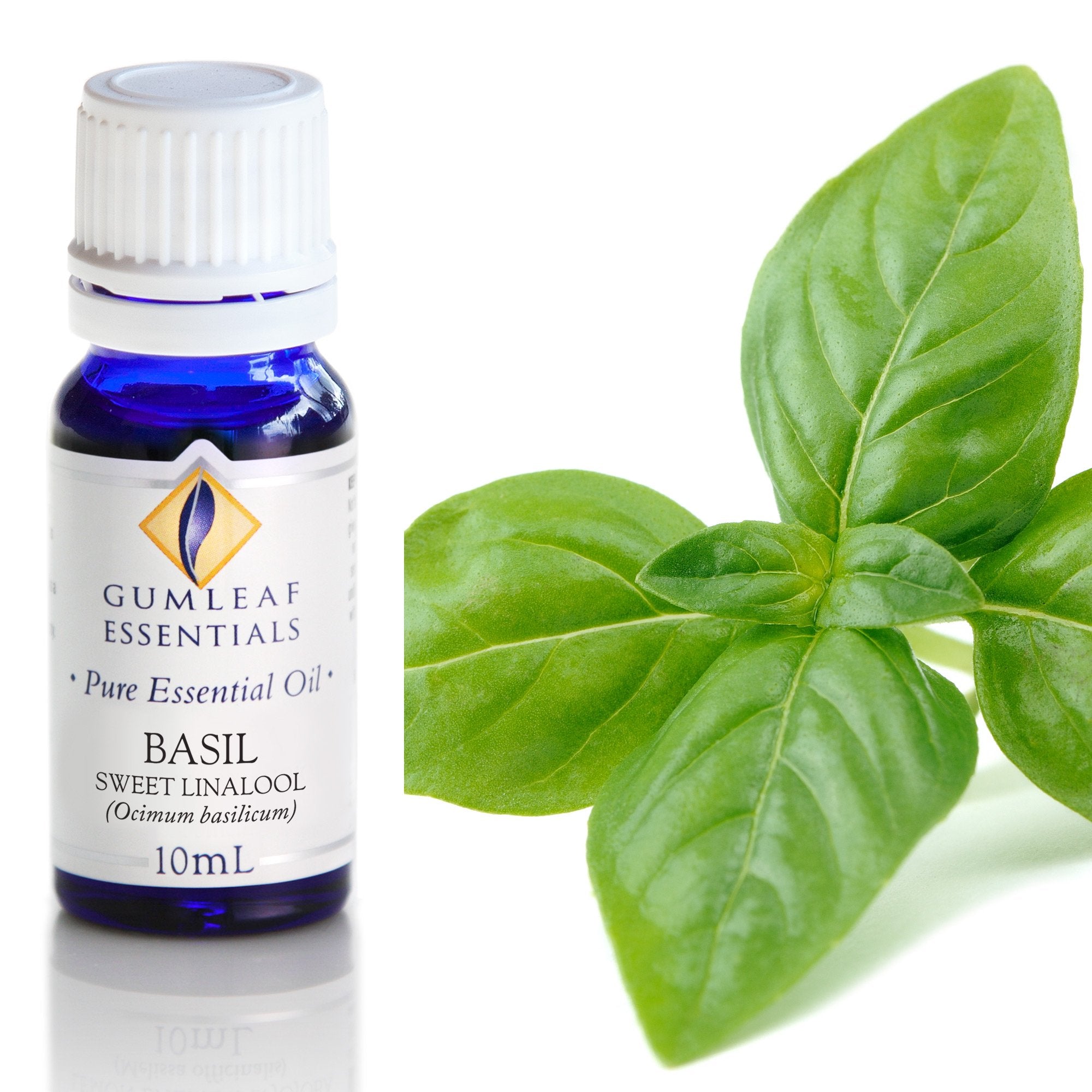 Basil Sweet Linalool Essential Oil 10ml Main image
