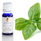 Basil Sweet Linalool Essential Oil 10ml