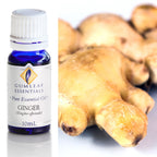 Ginger Essential Oil 10ml