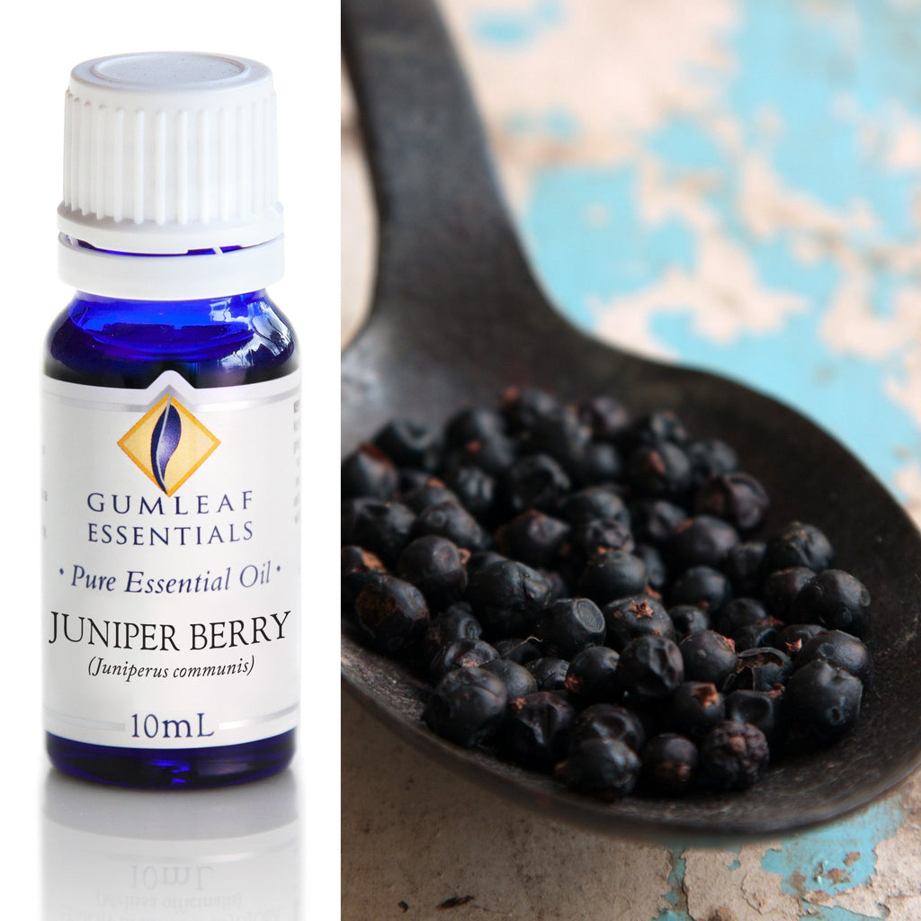 Juniper Berry Essential Oil 10ml