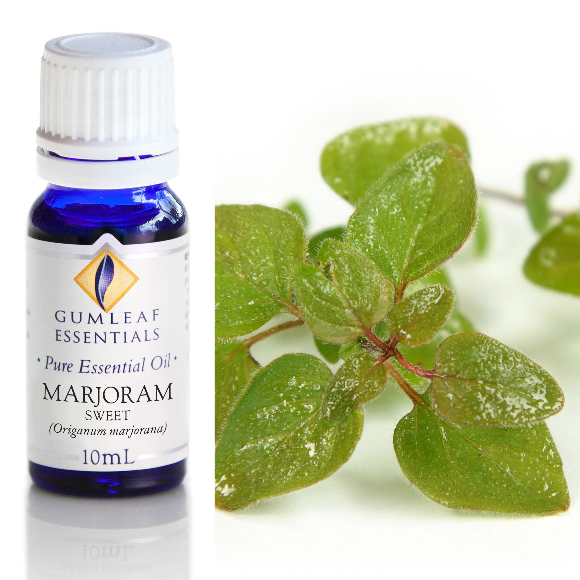 Marjoram Sweet Essential Oil 10ml