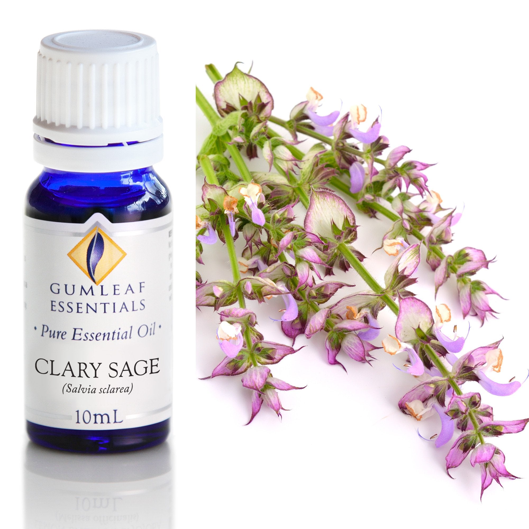 Clary Sage Essential Oil 10ml Main image