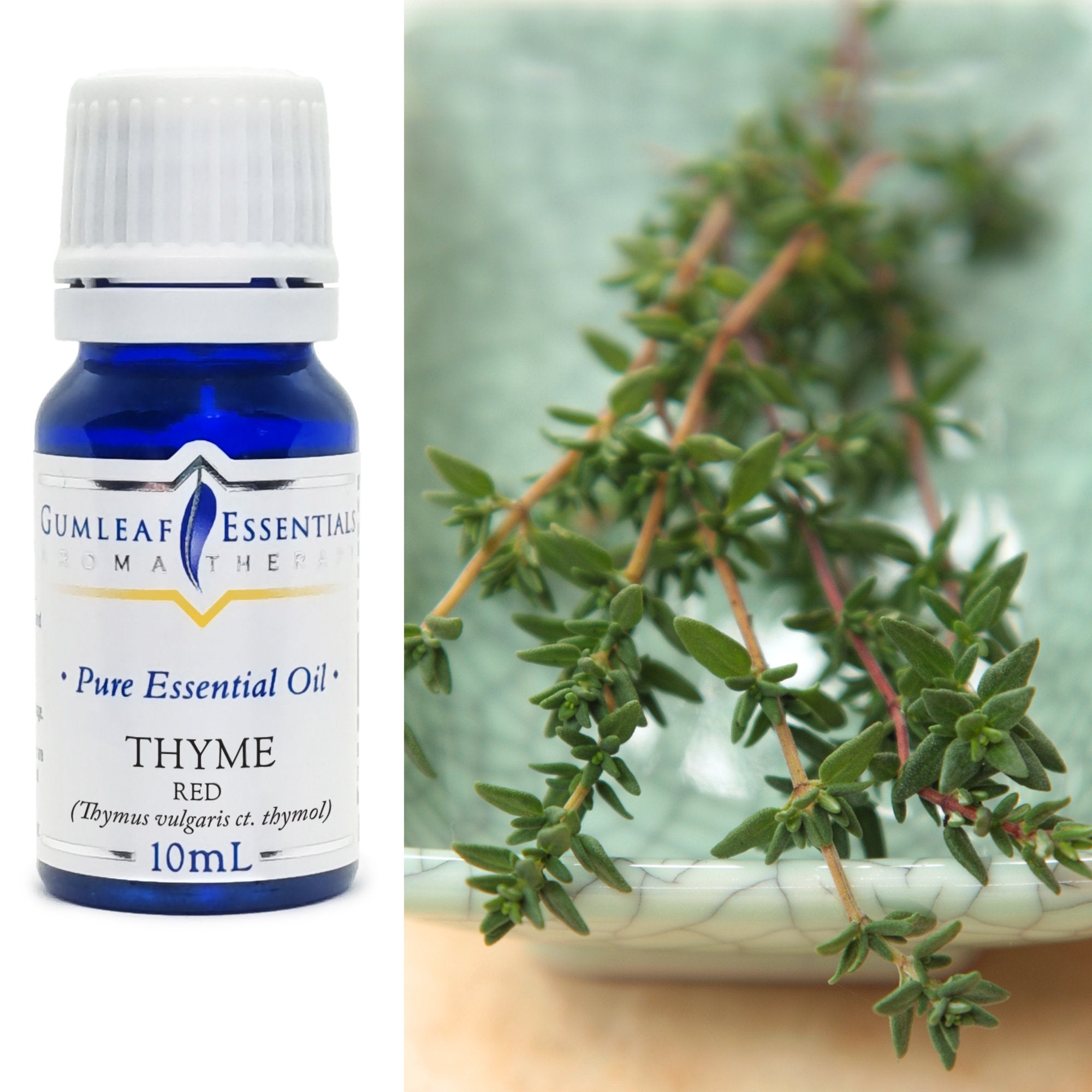 Thyme Red Essential Oil 10ml