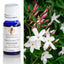 Jasmine (3% In Jojoba) Essential Oil 10ml