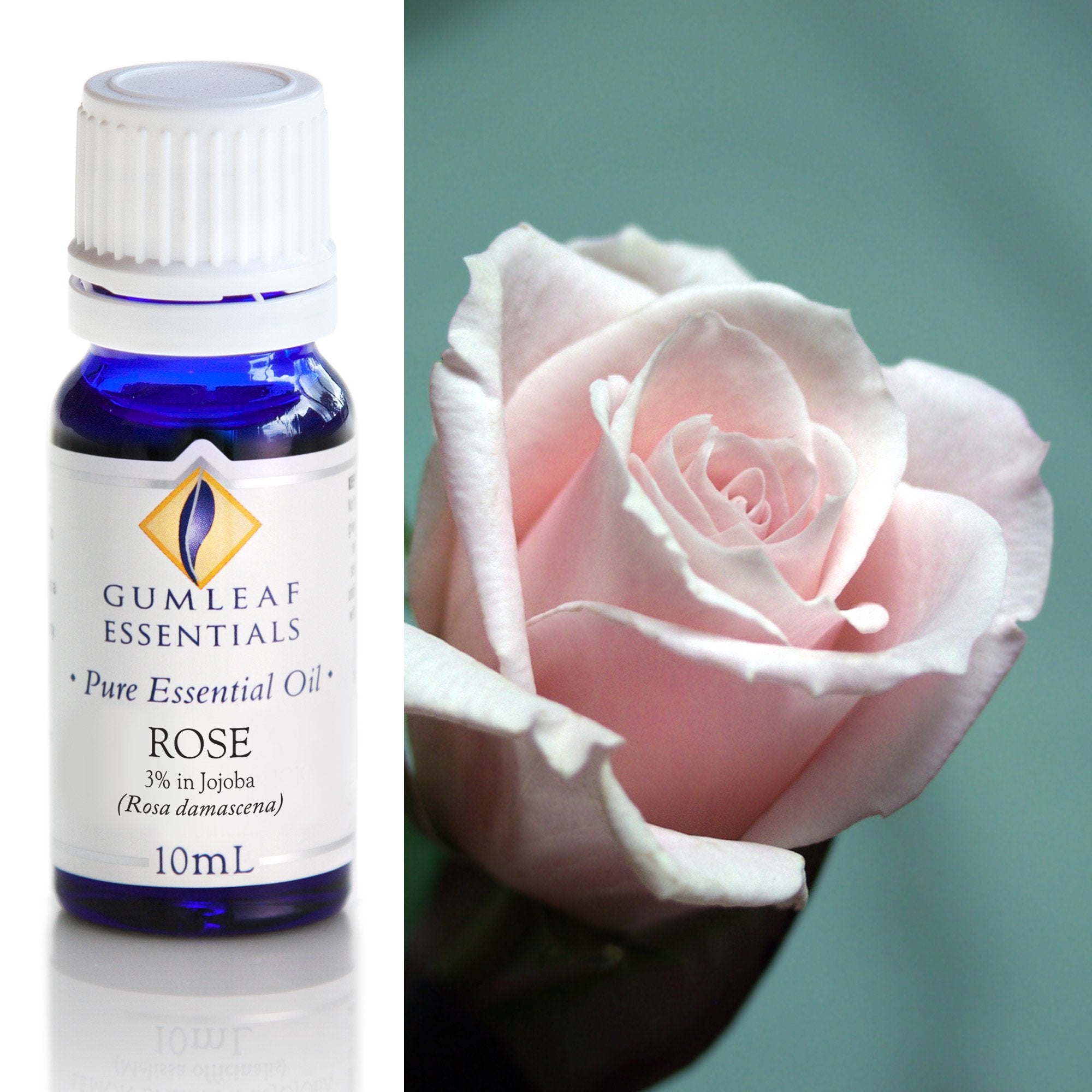 Rose (3% In Jojoba) Essential Oil 10ml