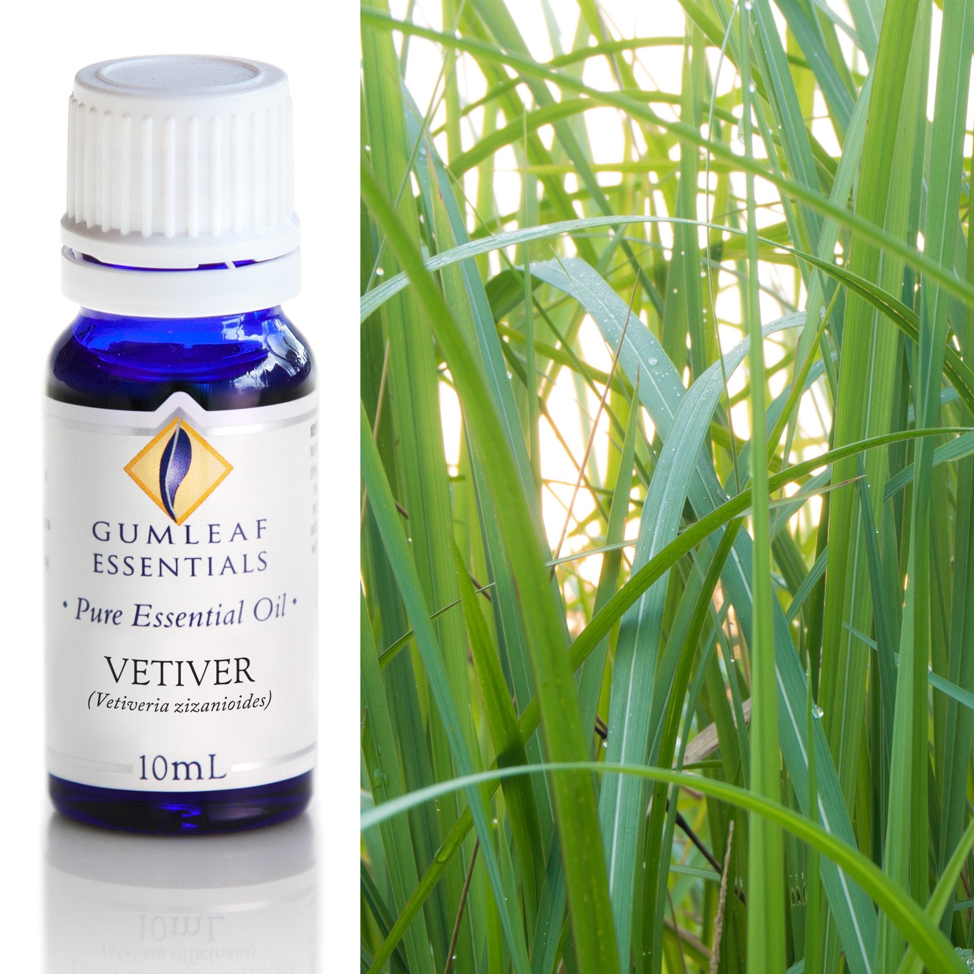 Vetiver Essential Oil 10ml Main image