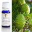 Cedarwood Atlas Essential Oil 10ml