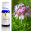 Organic Geranium Egyptian Essential Oil 10ml