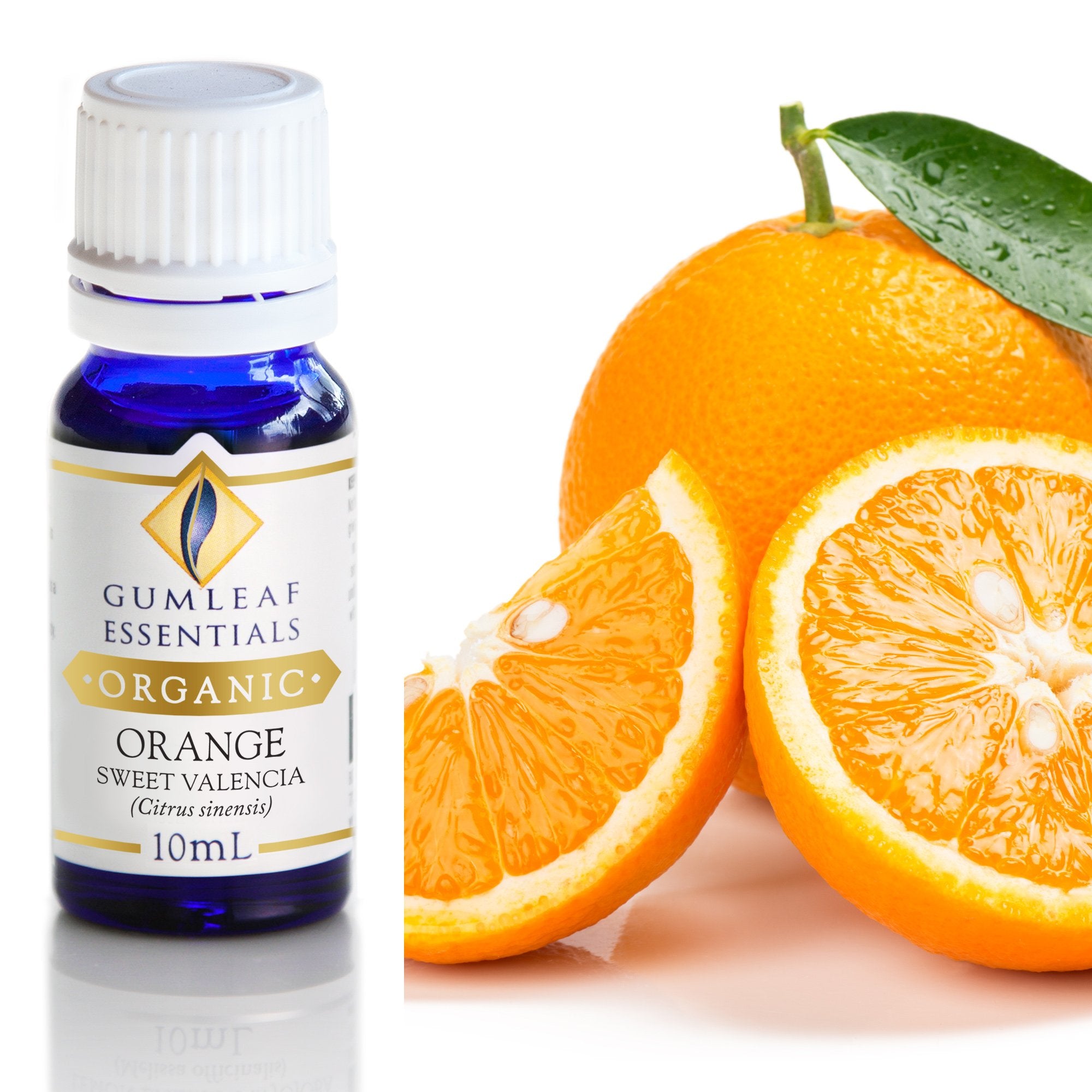 Organic Orange Sweet Valencia Essential Oil 10ml Main image