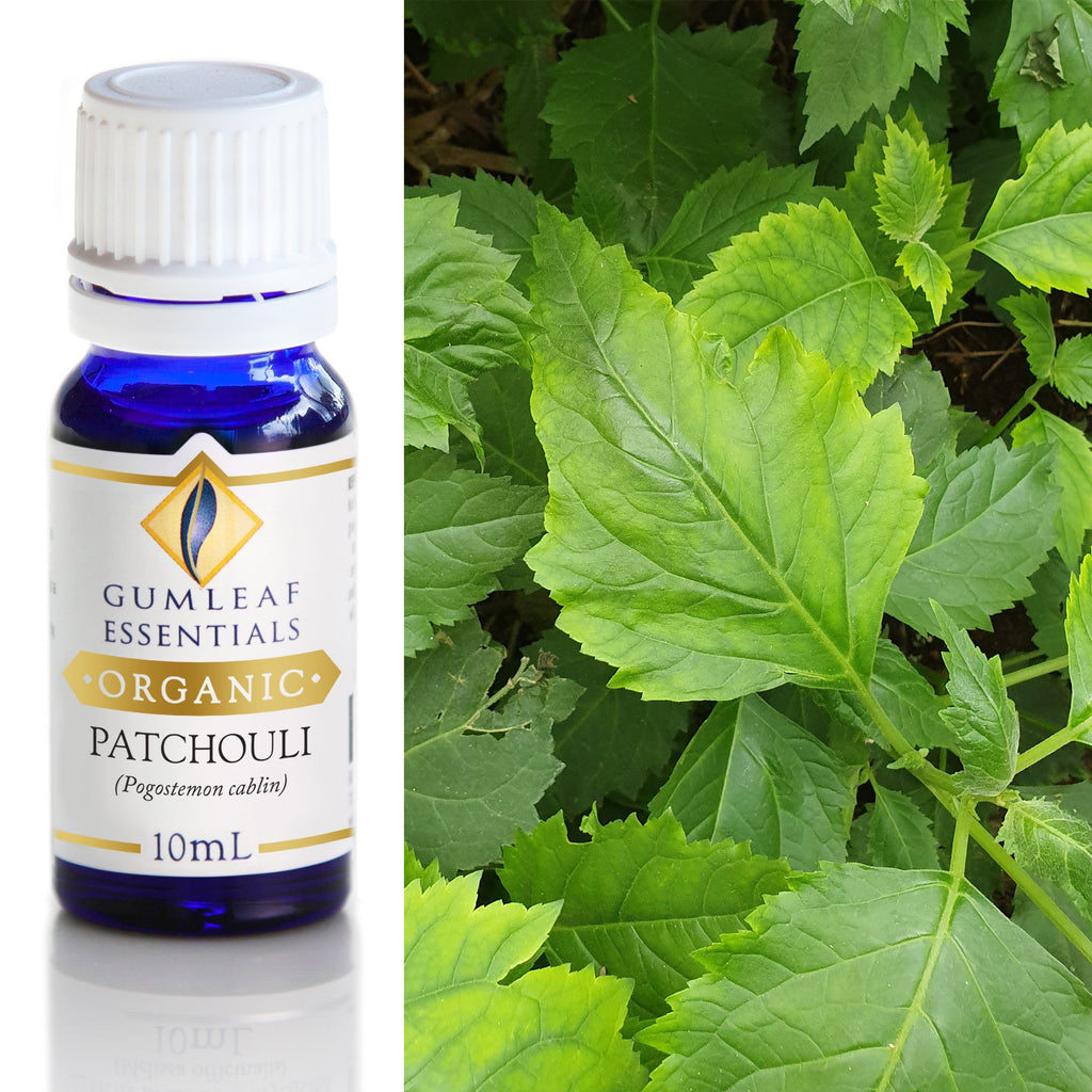 Organic Patchouli Essential Oil 10ml