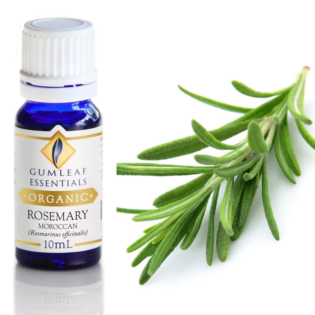 Organic Rosemary Moroccan Essential Oil 10ml