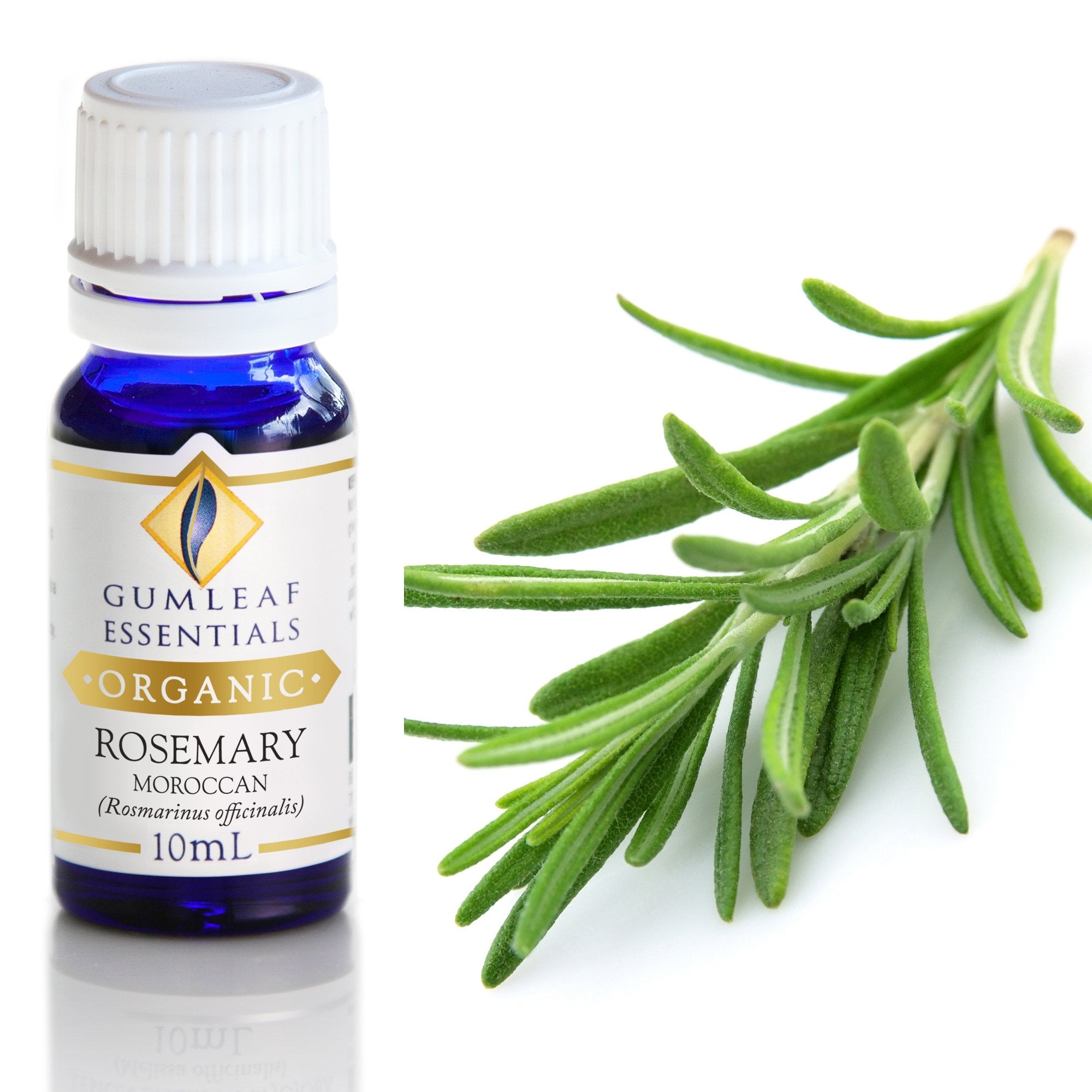 Organic Rosemary Moroccan Essential Oil 10ml