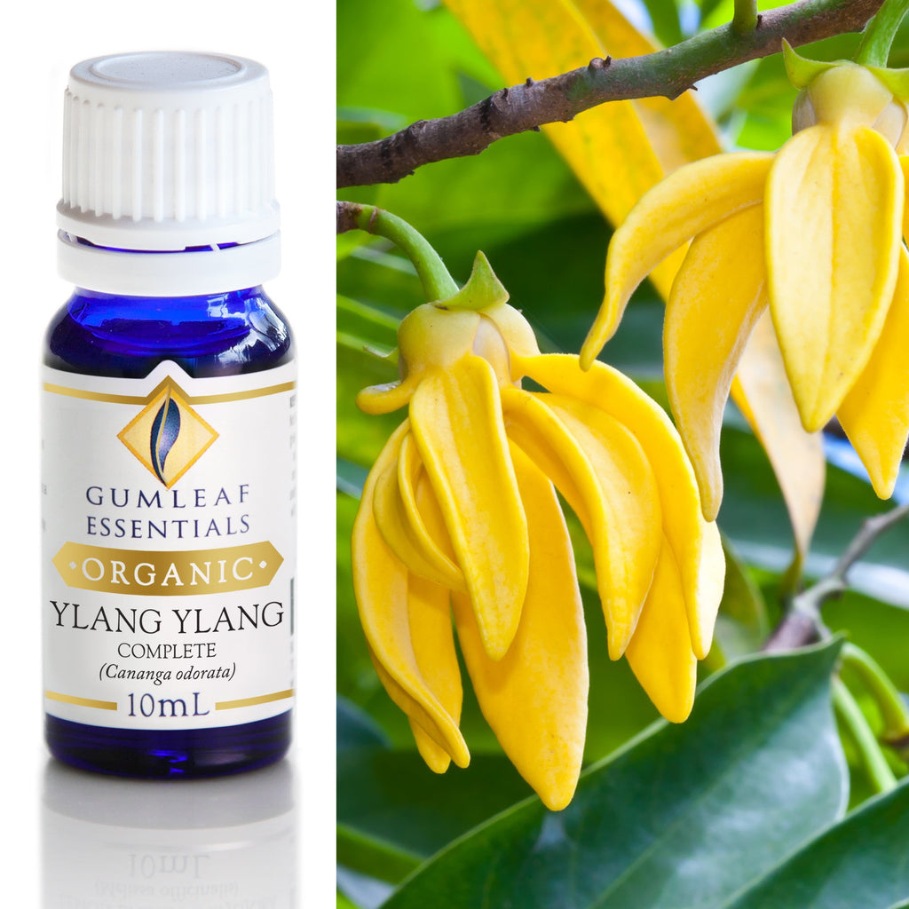 Organic Ylang Ylang Complete Essential Oil 10ml