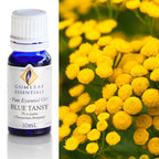 Blue Tansy (3% In Jojoba) Essential Oil 10ml