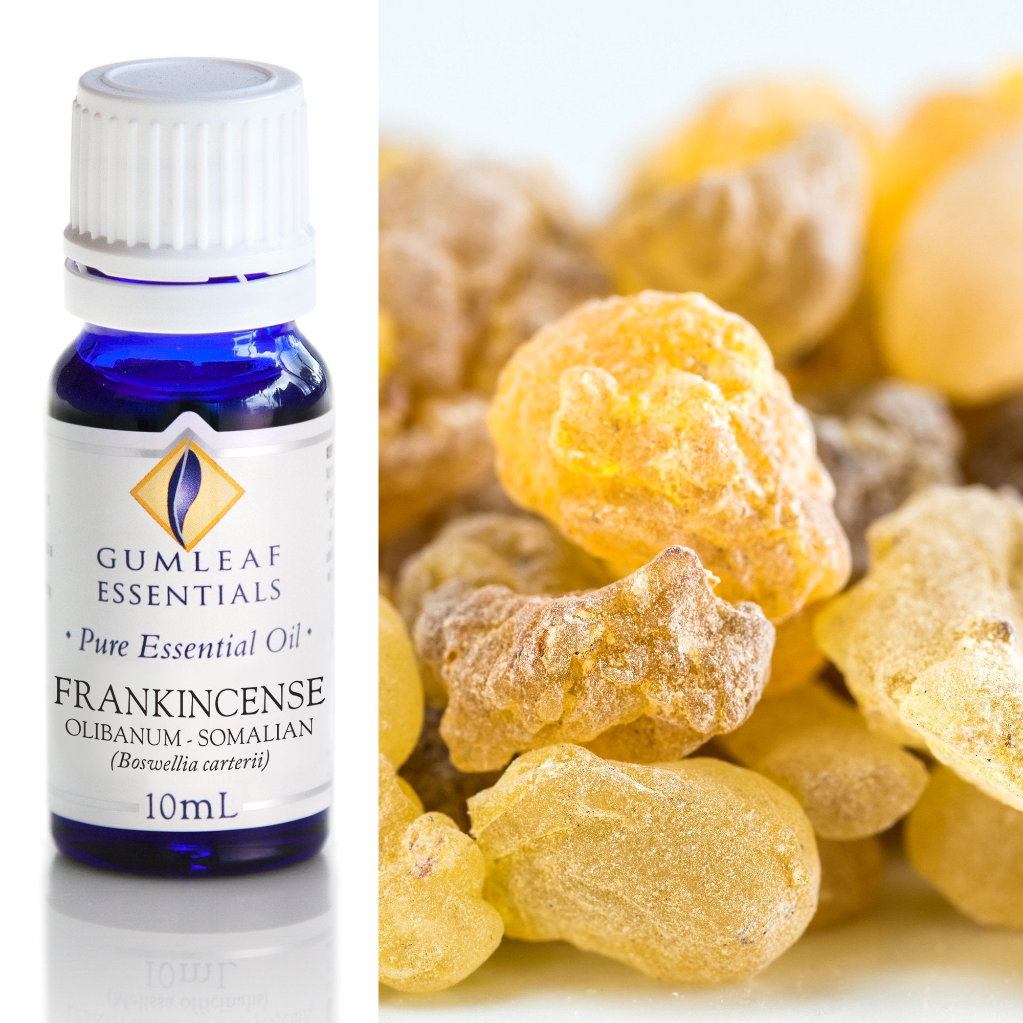 Frankincense Olibanum Essential Oil 10ml